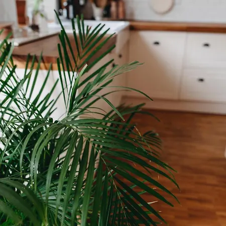 Apartmán Casa Nija - Boutique With Free Parking *